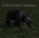 Аватар пользователя Curious Bear